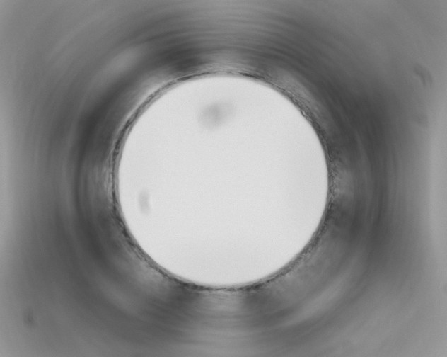 X0000115700836200911121403