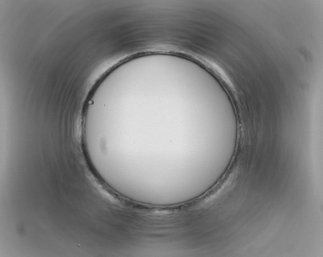 X0000115700839200911121403