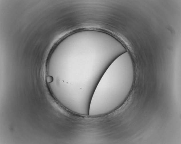 X0000115700840200911121403