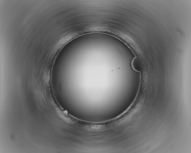 X0000115700841200911121403