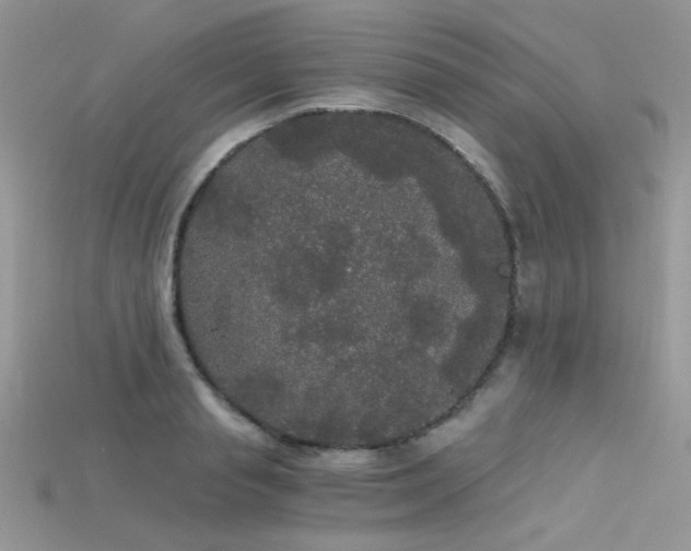 X0000115700845200911121403