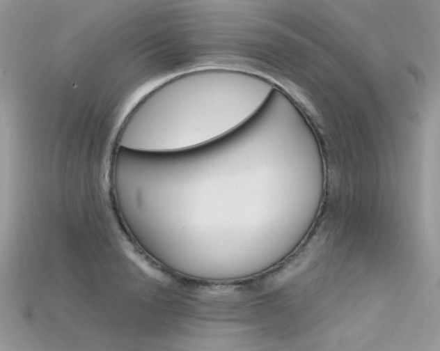 X0000115700846200911121403