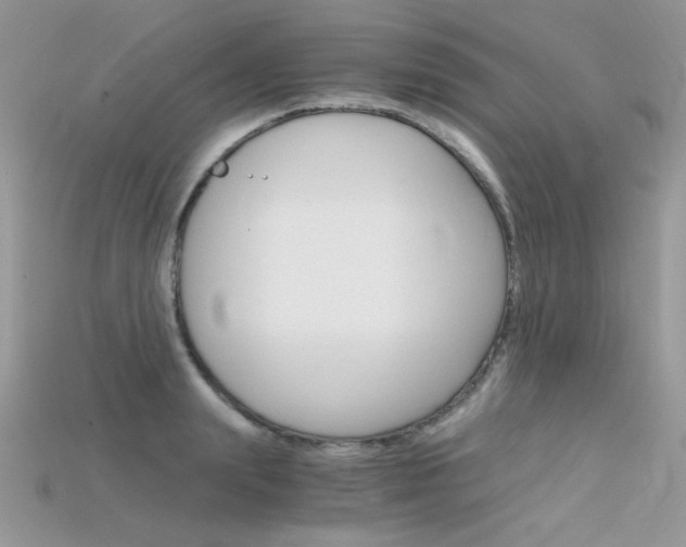 X0000115700847200911121403
