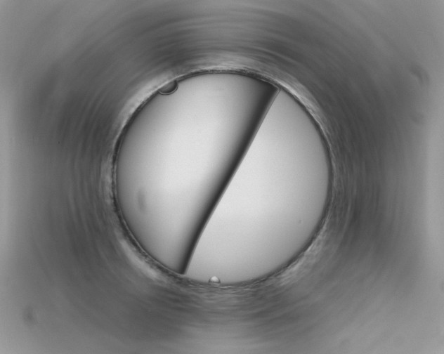 X0000115700850200911121403