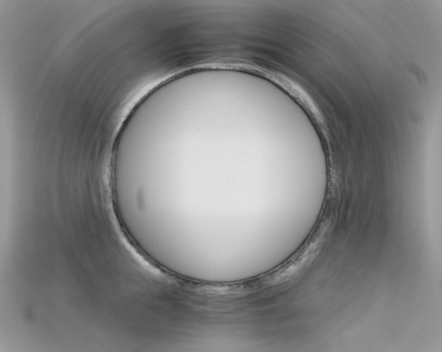 X0000115700855200911121403