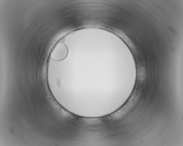 X0000115700856200911121403