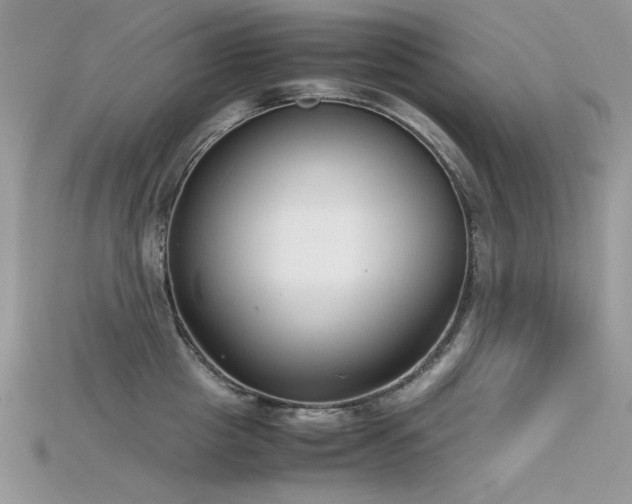 X0000115700857200911121403