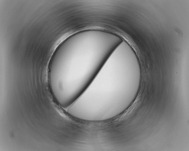 X0000115700858200911121403