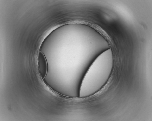 X0000115700860200911121403