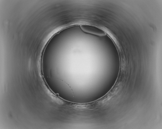 X0000115700861200911121403