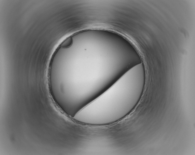 X0000115700864200911121403