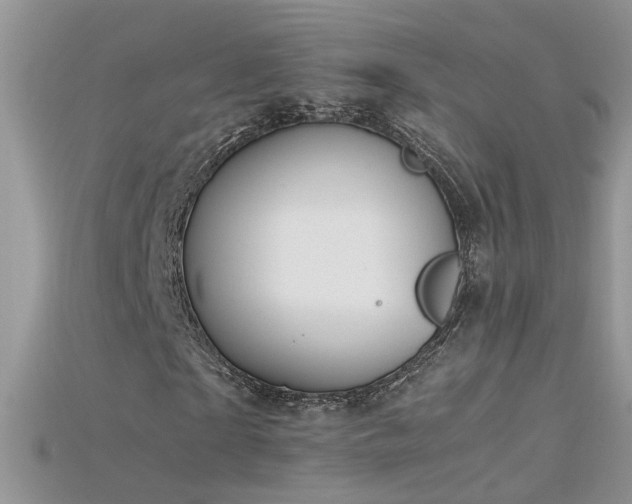 X0000115700865200911121402