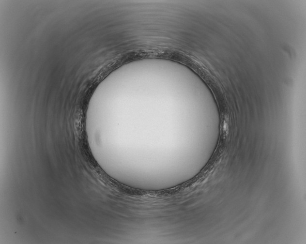 X0000115700867200911121402