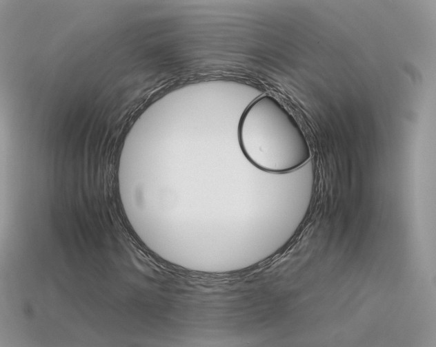 X0000115700868200911121402