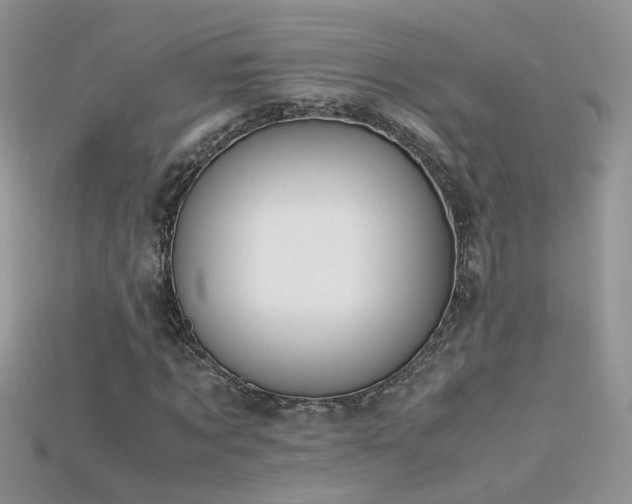X0000115700869200911121402
