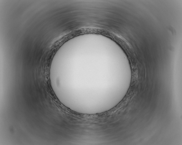 X0000115700870200911121402