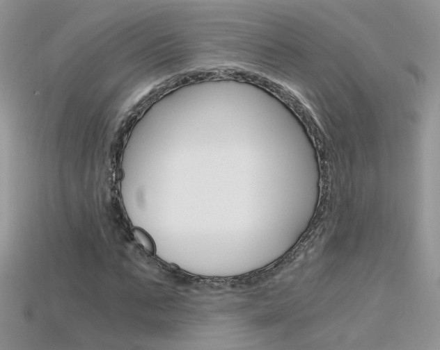 X0000115700871200911121402