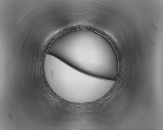 X0000115700872200911121402