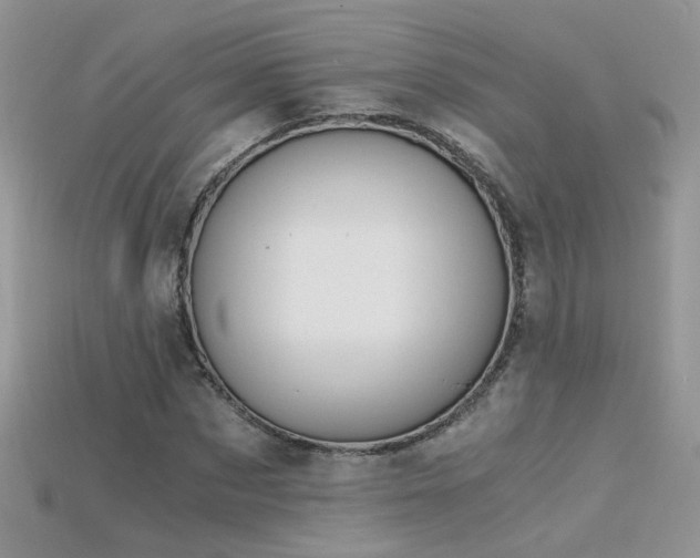 X0000115700873200911121402