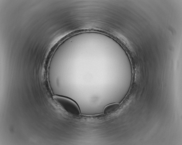 X0000115700876200911121402