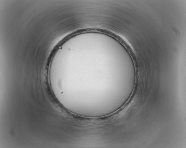 X0000115700879200911121402