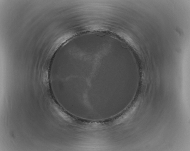 X0000115700881200911121402