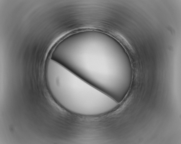 X0000115700884200911121402