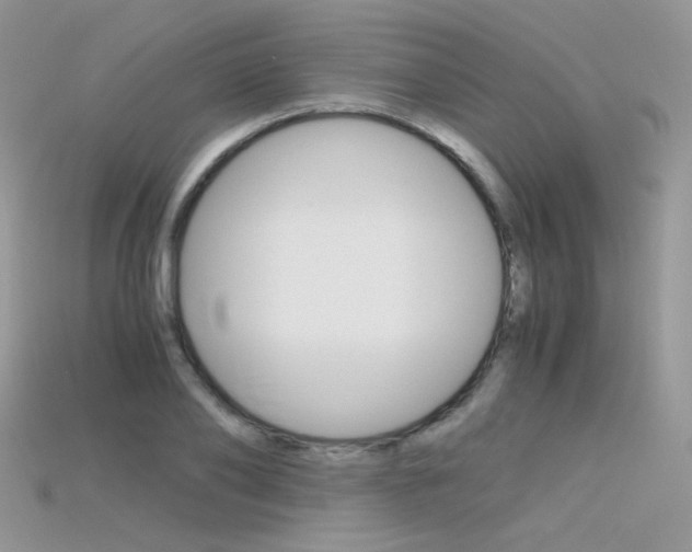 X0000115700886200911121402