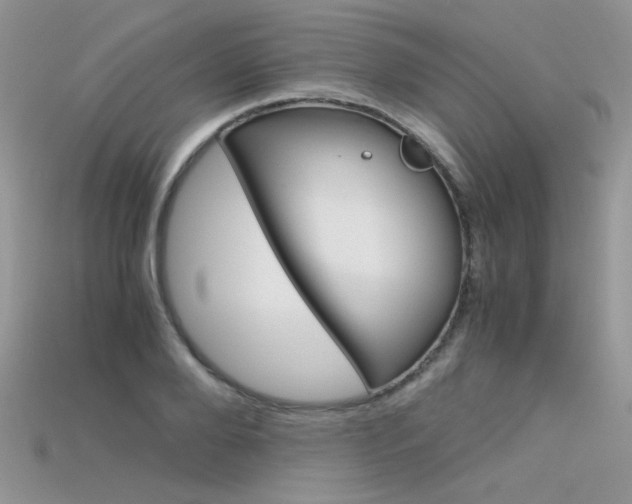 X0000115700888200911121402