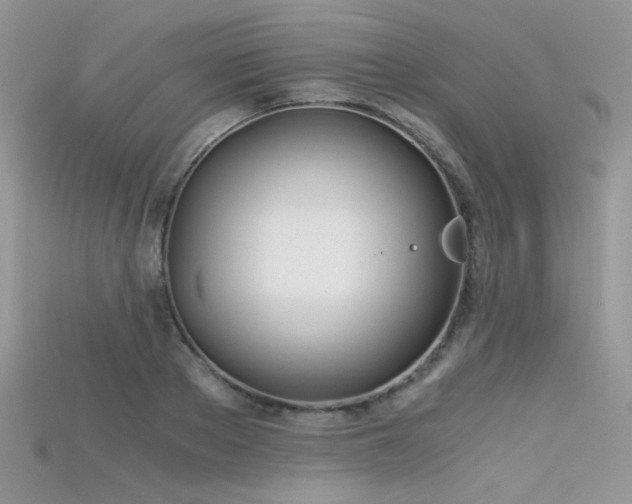 X0000115700889200911121402