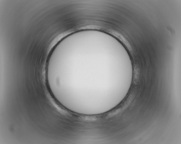 X0000115700890200911121402