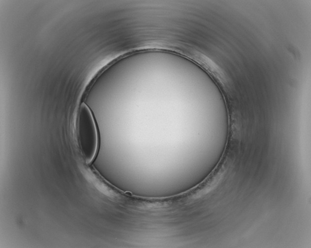 X0000115700892200911121402