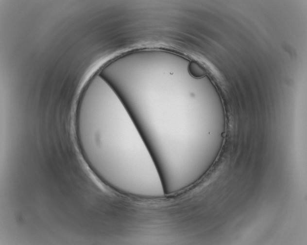 X0000115700894200911121402
