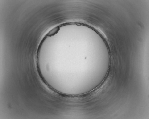 X0000115700895200911121402