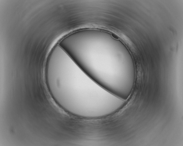 X0000115700896200911121402