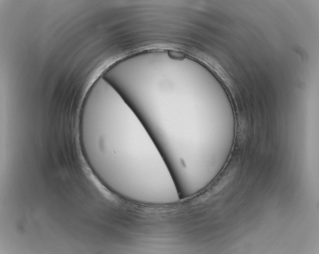 X0000115700898200911121402