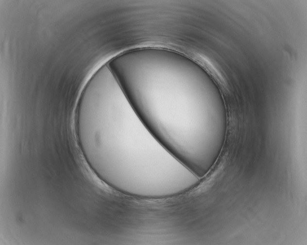 X0000115700900200911121402