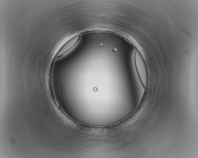 X0000115700901200911121402
