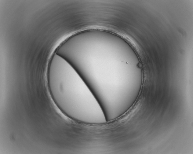X0000115700902200911121402