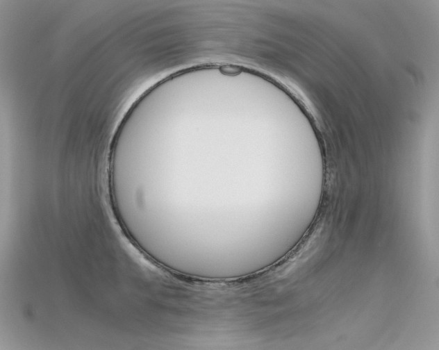 X0000115700903200911121402