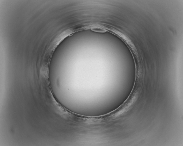 X0000115700905200911121402