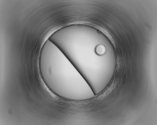 X0000115700906200911121402