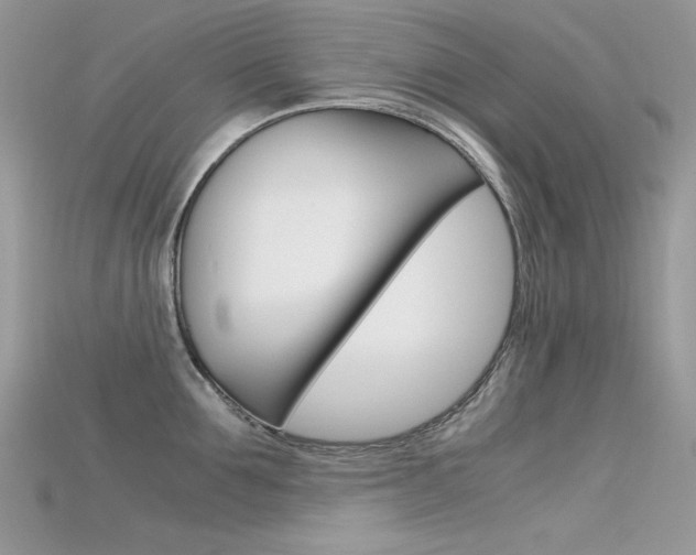 X0000115700907200911121402