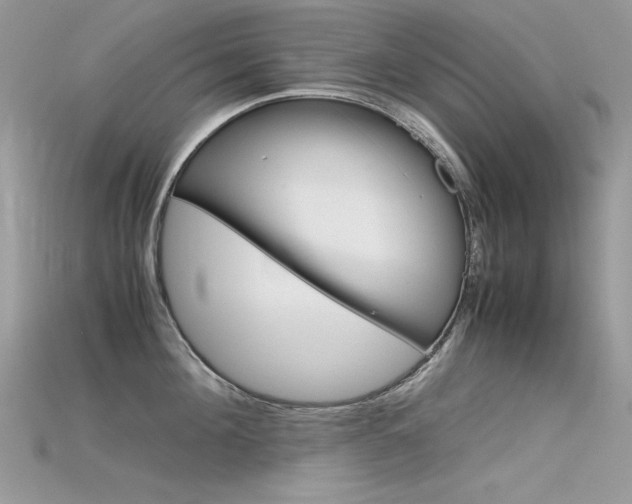 X0000115700908200911121402