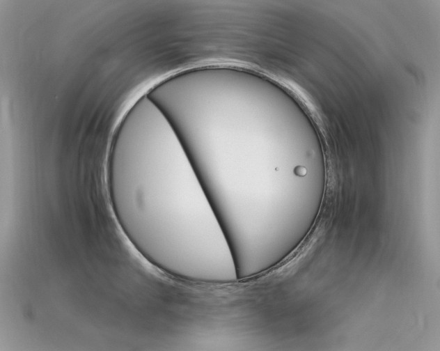 X0000115700910200911121402