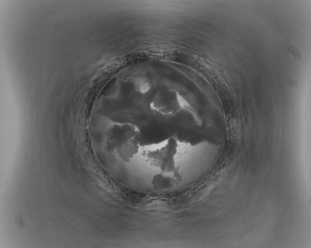 X0000115700913200911121401