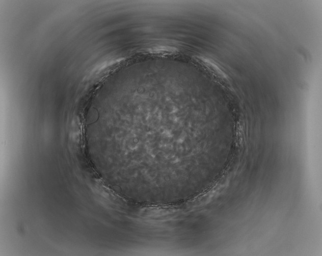 X0000115700917200911121401
