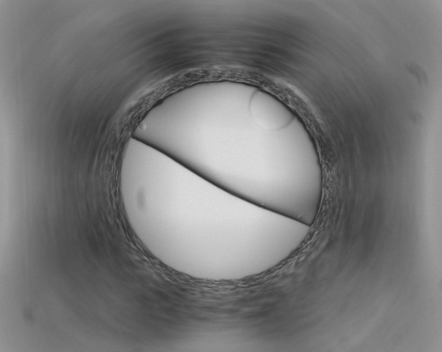 X0000115700919200911121401