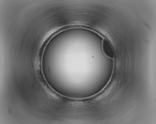 X0000115700925200911121401