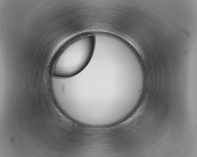 X0000115700926200911121401